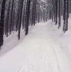 Skitourowe Zakopane.Trasa z Kuźnic przez Halę Gąsienicową na Kasprowy Wierch Trasa skitourowa z Kuźnic na Kasprowy Wierch - narty - skitourowe zakopane - Zakopane
