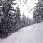 Skitourowe Zakopane.Trasa z Kuźnic przez Halę Gąsienicową na Kasprowy Wierch Trasa skitourowa z Kuźnic na Kasprowy Wierch - narty - skitourowe zakopane - Zakopane