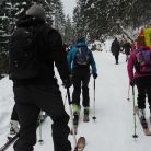 Skitourowe Zakopane. Trasa z Kuźnic na Polanę Kalatówki Trasa skitourowa z Kuźnic na Polanę Kalatówki - narty - skitourowe zakopane - Zakopane