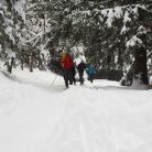 Skitourowe Zakopane. Trasa z Kuźnic na Polanę Kalatówki Trasa skitourowa z Kuźnic na Polanę Kalatówki - narty - skitourowe zakopane - Zakopane