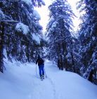 Skitourowe Zakopane. Trasa skitourowa z Kuźnic przez Halę Gąsienicową na Kozią Przełęcz Trasa skitourowa z Kuźnic na Kozią Przełęcz - narty - skitourowe zakopane - Zakopane