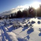 Skitourowe Zakopane. Trasa z Witowa na Magurę Witowską