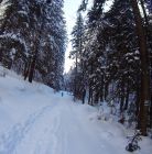 Skitourowe Zakopane. Trasa z Doliny Małej Łąki przez Dolinę Kościeliską i Miętusią do Doliny Tomanowej Trasa skitourowa z Doliny Małej Łąki do Doliny Tomanowej - narty - skitourowe zakopane - Kościelisko