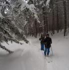 Skitourowe Zakopane. Trasa z Doliny Małej Łąki Przez Przełęcz w Grzybowcu do Doliny Strążyskiej