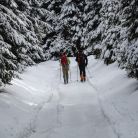 Skitourowe Zakopane. Trasa z Doliny Chochołowskiej na Trzydniowiański Wierch Trasa z Dol. Chochołowskiej na Trzydniowiański Wierch - narty - skitourowe zakopane - Witów