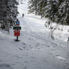 Skitourowe Zakopane. Trasa z Doliny Chochołowskiej na Trzydniowiański Wierch Trasa z Dol. Chochołowskiej na Trzydniowiański Wierch - narty - skitourowe zakopane - Witów
