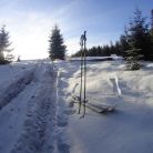 Skitourowe Zakopane. Trasa z Witowa na Magurę Witowską Trasa skitourowa z Witowa na Magurę Witowską 2 - narty - skitourowe zakopane - Witów
