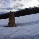 Skitourowe Zakopane. Trasa z Witowa na Magurę Witowską