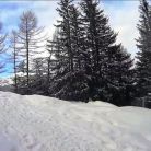 Skitourowe Zakopane. Trasa z Kuźnic przez Boczań Na Halę Gąsienicową Trasa skitourowa z Kuźnic na Halę Gąsienicową - narty - skitourowe zakopane - Zakopane