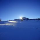 Skitourowe Zakopane. Trasa z Kuźnic przez Boczań Na Halę Gąsienicową Trasa skitourowa z Kuźnic na Halę Gąsienicową - narty - skitourowe zakopane - Zakopane