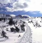 Skitourowe Zakopane. Trasa z Kuźnic przez Halę Gąsienicową na Karb Trasa skitourowa z Kuźnic na Przełęcz Karb - narty - skitourowe zakopane - Zakopane