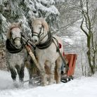 Kulig zimowy Pomian Travel - jednodniowe - kulig zimowy - Zakopane