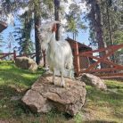 Tatrzański Park Edukacyjny Zakopane pod Wielką Krokwią Tatrzański Park Edukacyjny - dla dzieci - zajęcia dla dzieci - Zakopane