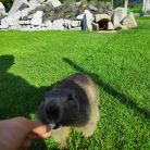 Tatrzański Park Edukacyjny Zakopane pod Wielką Krokwią Tatrzański Park Edukacyjny - dla dzieci - zajęcia dla dzieci - Zakopane