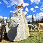Tatrzańskie Zoo w Zakopanem Tatrzańskie ZOO - dla dzieci - atrakcja dla dzieci - Zakopane