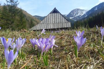 Dolina Jaworzynki Dolina Jaworzynka - doliny - dolina - Tatry