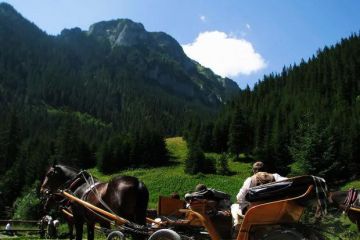Kuligi letnie w Dolinie Chochołowskiej Kuligi letnie w Dolinie Chochołowskiej - jednodniowe - kulig letni - Zakopane