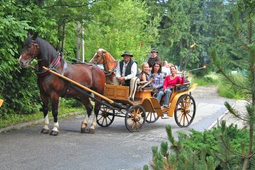 Kulig letni Jędruś - jednodniowe - kulig letni - Zakopane