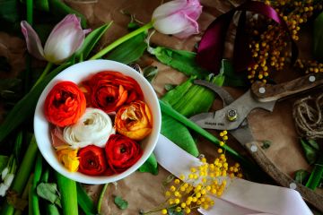 Kwiaciarnia Agawa - kwiaty upominki pamiątki - kwiaciarnia - Zakopane