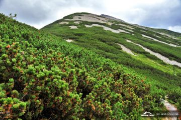 Żółta Turnia Żółta Turnia - szczyty - szczyt - Tatry