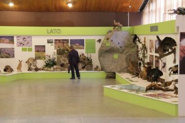 Centrum Edukacji Przyrodniczej Tatrzańskiego Parku Narodowego Centrum Edukacji Przyrodniczej TPN - dla dzieci - zajęcia dla dzieci - Zakopane
