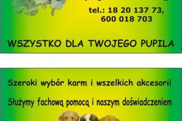 Sklep zoologiczny Zakopane Sklep zoologiczny Colisa - dla zwierząt - sklep zoologiczny - Zakopane
