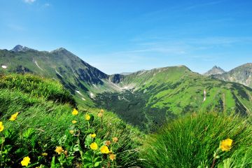 Dolina Jarząbcza Dolina Jarząbcza - doliny - dolina - Tatry