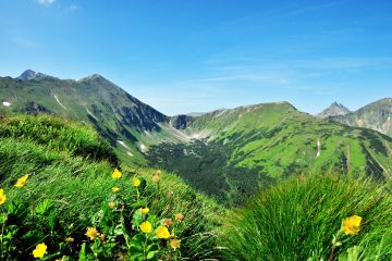 Dolina Jarząbcza - doliny - dolina - Tatry