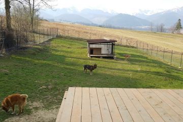 Hotel dla zwierząt Zoo - dla zwierząt - hotel dla zwierząt - Zakopane