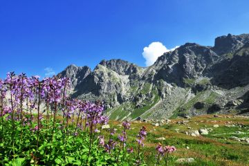 Dolina Mięguszowiecka - doliny - dolina - Tatry