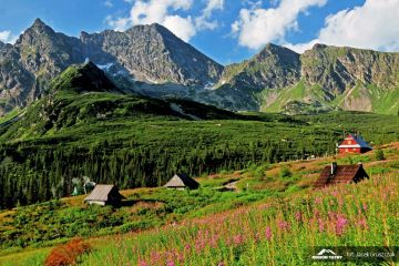 Hala Gąsienicowa Dolina Gąsienicowa / Hala Gąsienicowa - doliny - dolina - Tatry