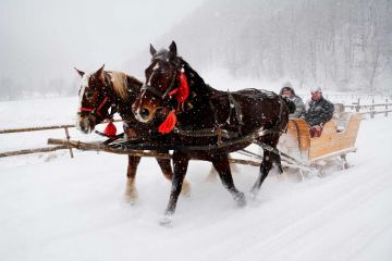 Kulig Butorowy Gubałówka Zakopane Kulig Butorowy Gubałówka - Zakopane - jednodniowe - kulig zimowy - Zakopane