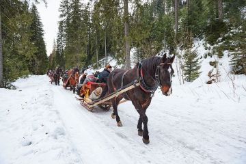 KULIGI.pl - Góralskie kuligi w Zakopanem - jednodniowe - kulig zimowy - Zakopane