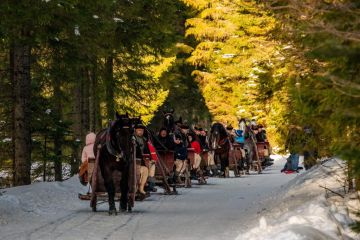 Kulig Dolina Kościeliska Janosik Travel - jednodniowe - kulig zimowy - Kościelisko