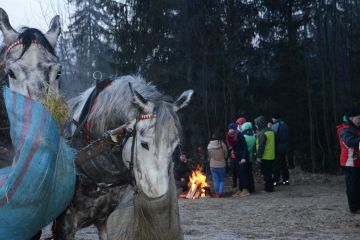 Kulig Murzasichle - jednodniowe - kulig zimowy - Murzasichle