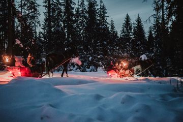 Kulig Zakopane Gubałówka TatryExpress - jednodniowe - kulig zimowy - Zakopane