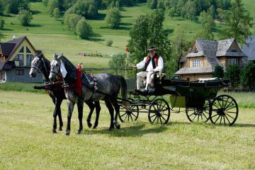 Kulig letni Zakopane Kulig letni Zakopane - jednodniowe - kulig letni - Zakopane