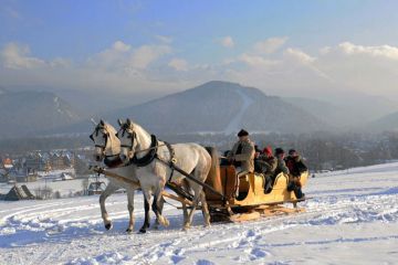 Kuligi w Zakopanem - Tarant  - jednodniowe - kulig zimowy - Zakopane