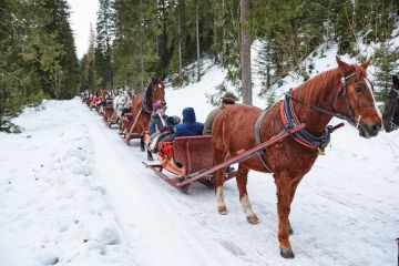 Zakopane Kuligi dla Dzieci - SANIE.pl Kuligi dla Dzieci - SANIE.pl - jednodniowe - kulig zimowy - Zakopane