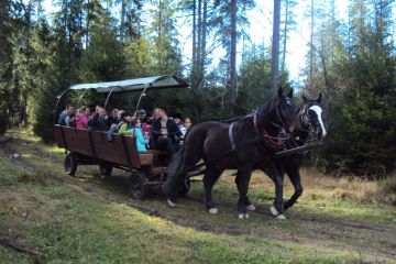 TRIOTRAVEL - Kulig letni z pochodniami Kulig letni z biurem Trio Travel - jednodniowe - kulig letni - Zakopane