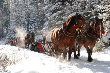 Janosik Travel Kulig Dolina Chochołowska - jednodniowe - kulig zimowy - Zakopane