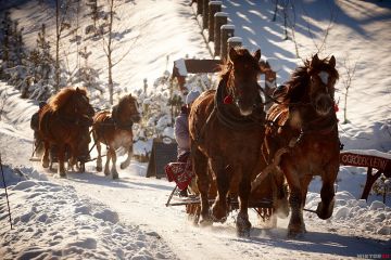 Kulig z pochodniami z biurem Prestige - jednodniowe - kulig zimowy - Zakopane