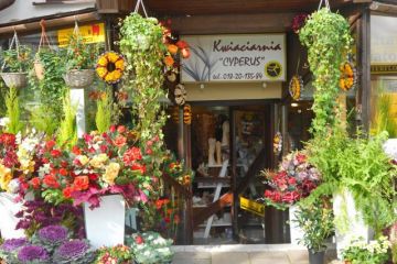Kwiaciarnia Cyperus - kwiaty upominki pamiątki - kwiaciarnia - Zakopane