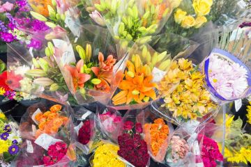 Kwiaciarnia Edytka - kwiaty upominki pamiątki - kwiaciarnia - Zakopane