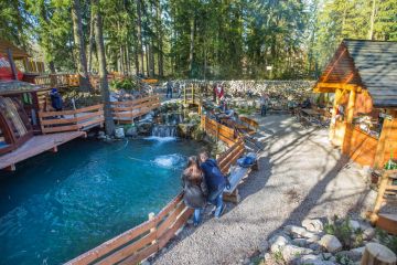 Łowisko pstragów Naboo Zakopane Łowisko pstrągów Naboo Zakopane - sport i rekreacja - wędkarstwo - Zakopane