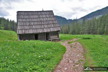 Dolina Olczyska - szlak na nosal Dolina Olczyska - doliny - dolina - Tatry