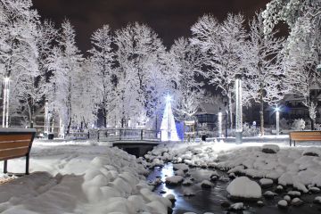 Park Miejski im. Marszałka Józefa Piłsudskiego w Zakopanem Krupówki i park miejski - ciekawe miejsca - ciekawe miejsce - Zakopane