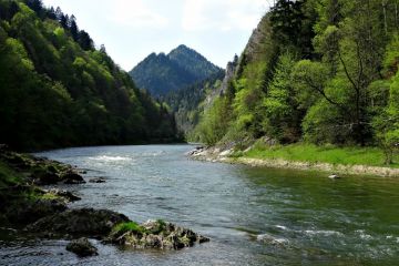 Rafting pontonowy na Dunajcu Pomian Travel - jednodniowe - wycieczka na rafting po Dunajcu - Zakopane