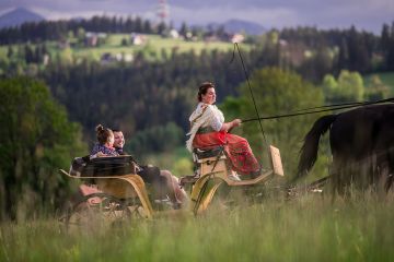 Kulig i piknik góralski TatryExpress Kulig i piknik góralski TatryExpress - jednodniowe - kulig letni - Zakopane