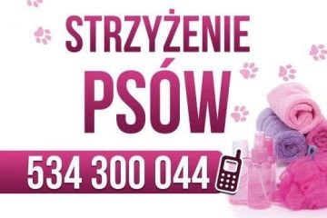 Salon pielęgnacji zwierząt Twój Piękny Pies - dla zwierząt - salon pielęgnacji dla zwierząt - Zakopane